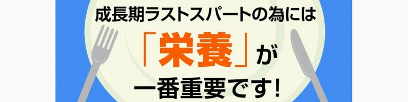 ̐ɁyvXeAbvzAMjEXsiEGPC TCg1